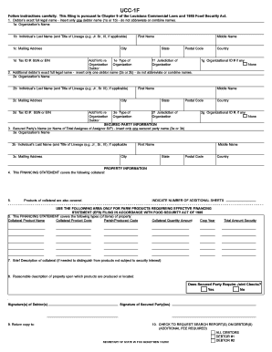 UCC-1F Financing Statement