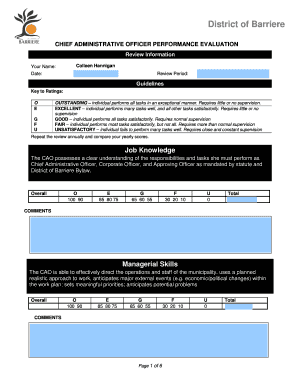 CAO Evaluation Template July 2014