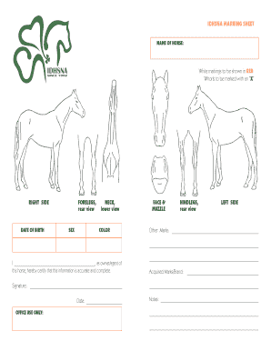 Horse Marking Sheet