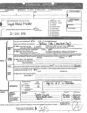 Defendant Financial Affidavit Form