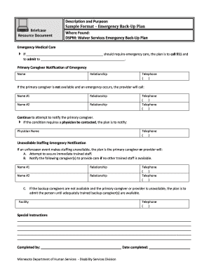 Emergency Back-Up Plan Template