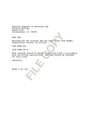 2008 Form 990 Tax Return