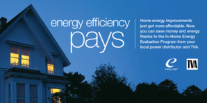 In-Home Energy Evaluation Program Application