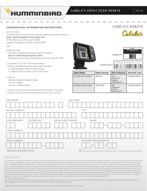 Form preview picture