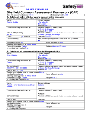 Sheffield Common Assessment Framework (CAF)