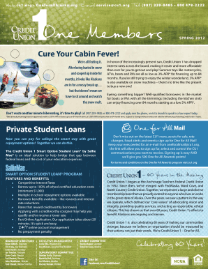 Summer Loan and Credit Card Application
