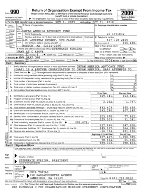 Form 990 Tax Exempt Organization Return
