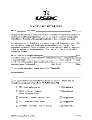 SAMPLE AUDIT REPORT FORM - sausbca.com - usbcongress http internapcdn