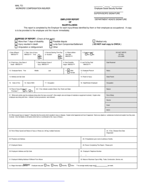 Workers' Compensation Injury Report