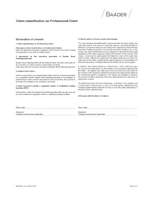 Professional Client Classification Agreement