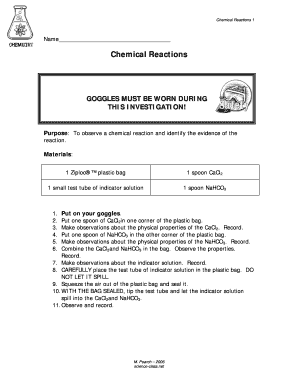 Chemical Reactions Lab Form