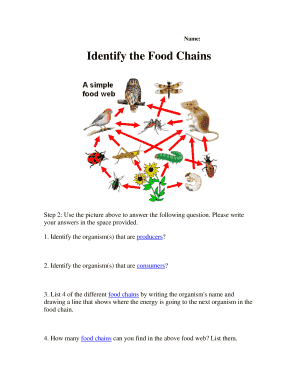 Science Worksheet: Identify the Food Chains