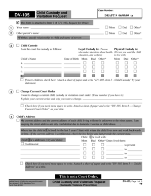 Child Custody and Visitation Request Form