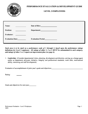 Performance Evaluation Form for Level 3 Employees