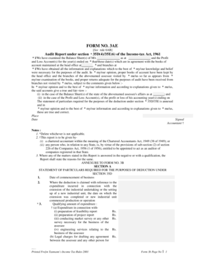 Audit Report Form 3AE