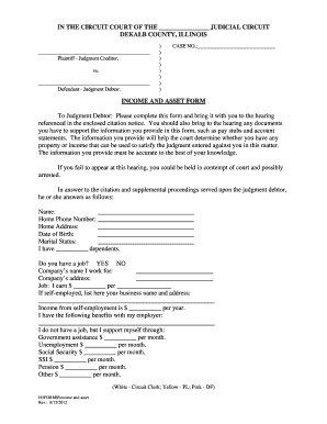 Illinois Income and Asset Form