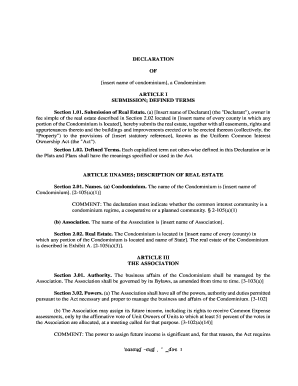 Condominium Declaration Form