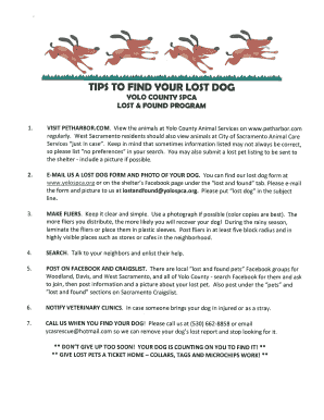 Lost Dog Report Form