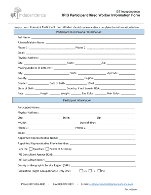 Form preview