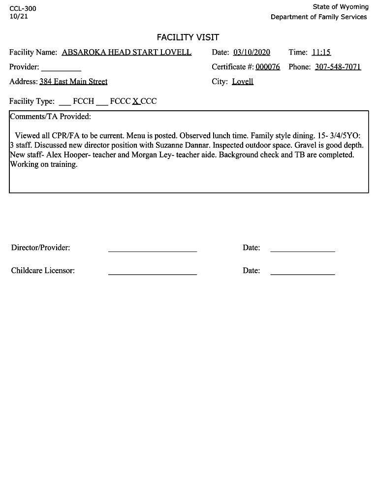 Form preview