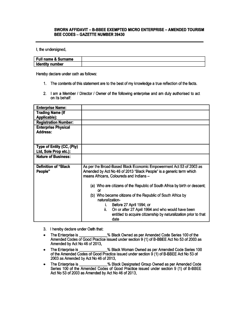 South African B BBEE Affidavit Form Blank Fillable Template Fill 
