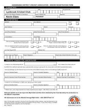 Form preview picture