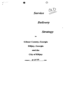 DCA Service Delivery Strategy FORM 5 - City of Sugar Hill