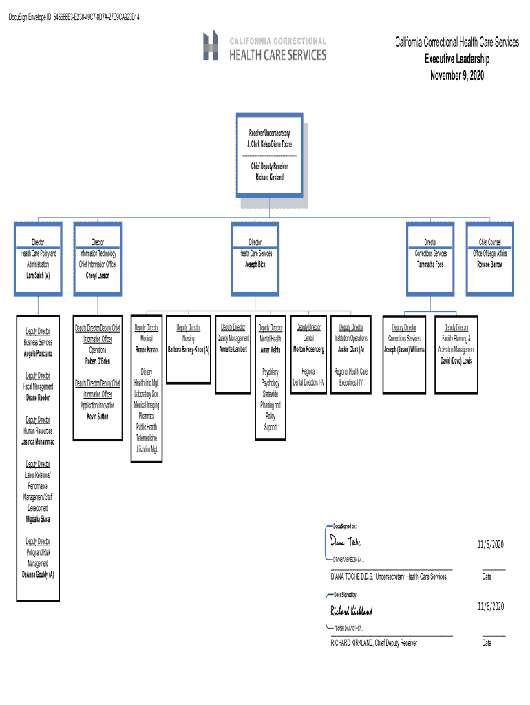 Cchcs Organizational Chart Fill Online, Printable, Fillable, Blank
