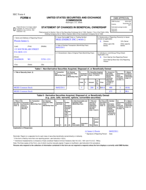SEC Form 4 Statement of Changes in Beneficial Ownership