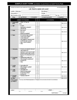 Audit Form for Traffic Management
