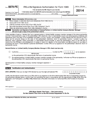 IRS Form 8879-PE Signature Authorization for Form 1065
