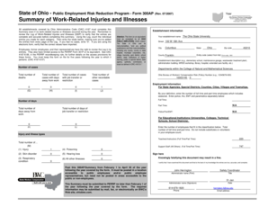 Ohio Form 300AP - Work-Related Injuries and Illnesses Summary