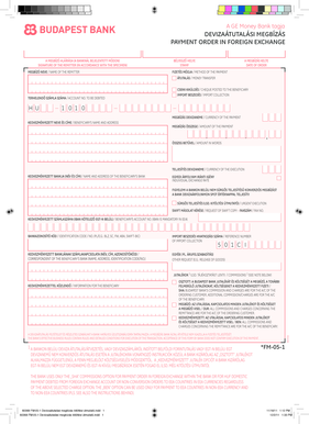 Foreign Exchange Payment Order