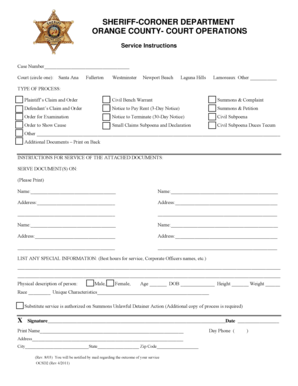 Orange County Court Process Service Instructions