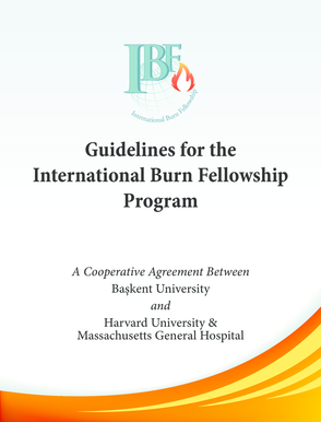 Guidelines - International Society for Burn Injuries