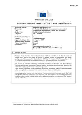 SHORT VERSION JOB DESCRIPTION FORM. Preciz tais Pl na projekts