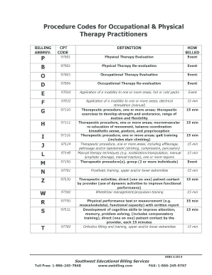 Physical Therapy Service Record Form