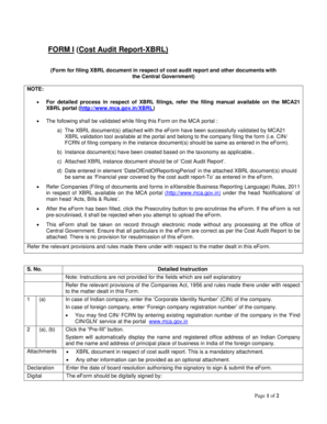 Cost Audit Report XBRL Filing Form