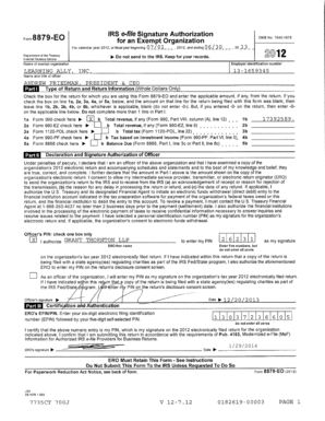 IRS Form 990 2012
