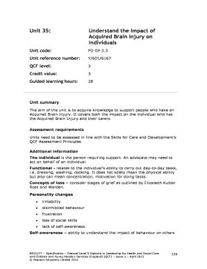 Acquired Brain Injury Impact Assessment Form