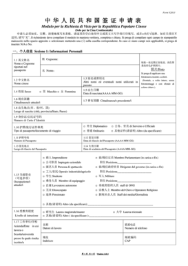 China Visa Application Form