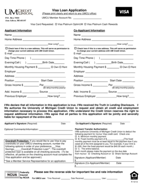 Visa Loan Application