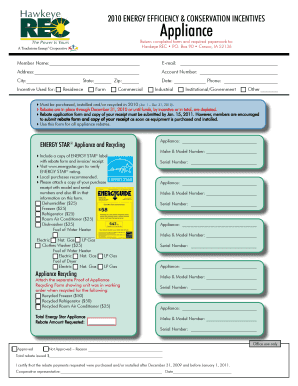 2010 Energy Efficiency Rebate Form