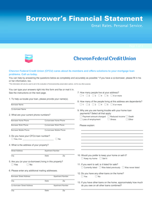 Borrower's Financial Statement