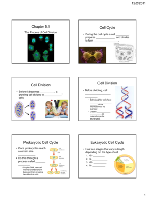 Cell Cycle Worksheet