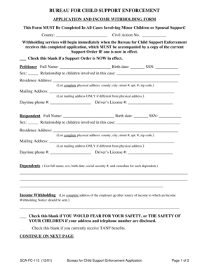 Child Support Enforcement Application Form