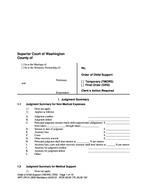 Washington State Child Support Order