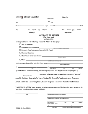 Affidavit of Service for Circuit Court