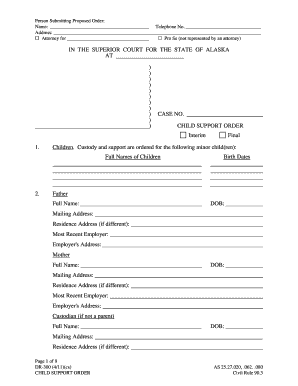 Alaska Child Support Order Form
