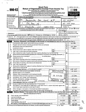 Form 990-EZ Tax Return